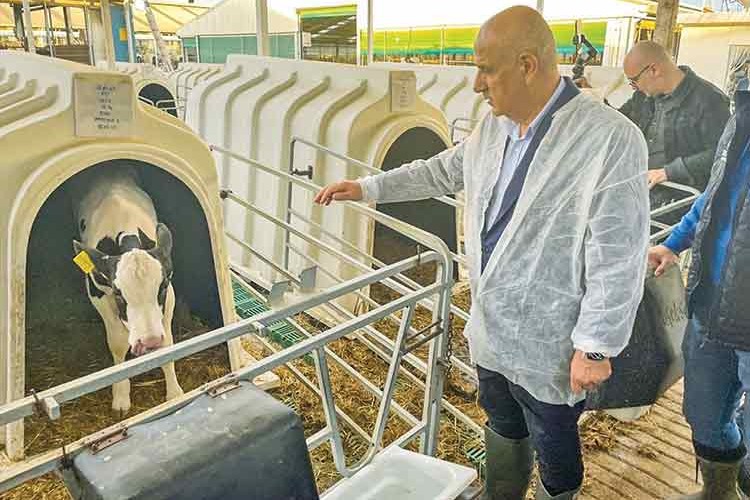 Jeotermal seracılıkta Avrupa'da 1'inci sıradayız