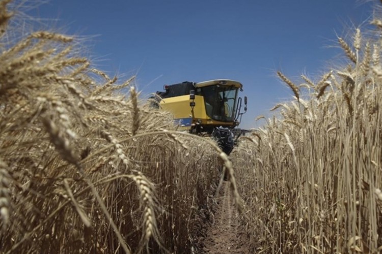 Çiftçilere yeni nesil tarım sektörüne yönelik teşviklerden yararlanma çağrısı