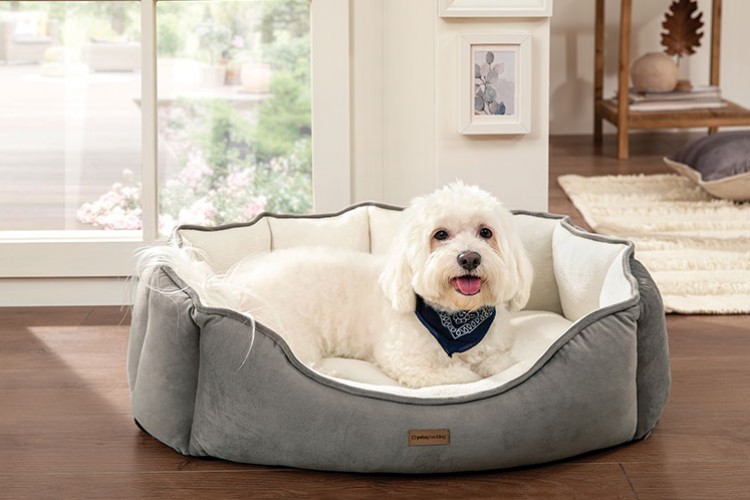 Patili Dostlarınız İçin En Konforlu Uykunun Adresi