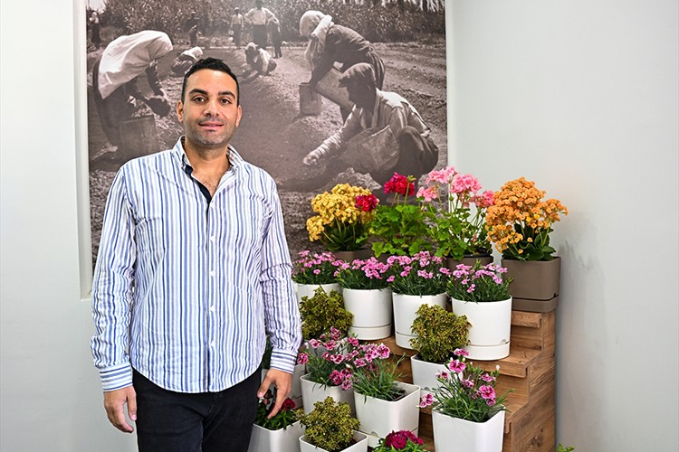 Sardunyanın yerli çeşitleri geliştirilerek sektöre kazandırılacak