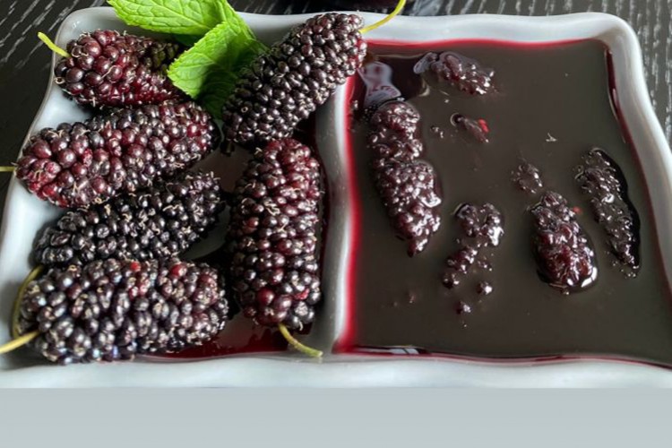 ZOE'S, lezzet ve şifayı karadut meyvesinde buluşturdu