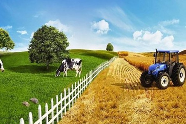 Tarım Kredi'den mağaza atağı