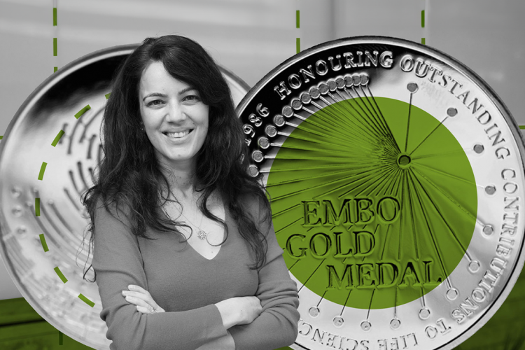 EMBO altın madalyası kazanan ilk bilim insanımız