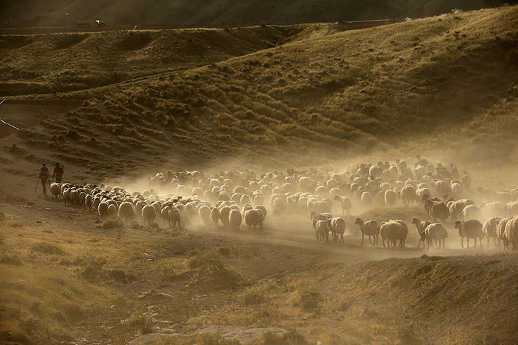 Nemrut yolculuğu başladı