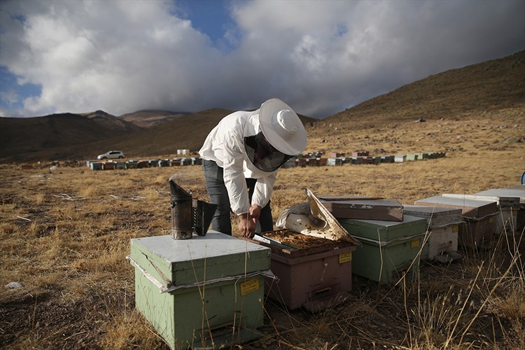 Dede mirası arıcılığı üçüncü kuşak temsilci olarak sürdürüyor