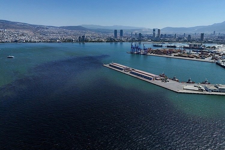 İzmir Körfezi'ndeki balık ölümlerine ilişkin inceleme