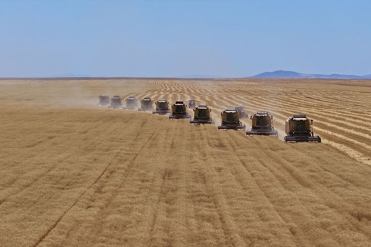 Malya Tarım İşletmesi'nde sertifikalı tohum hasadı sürüyor