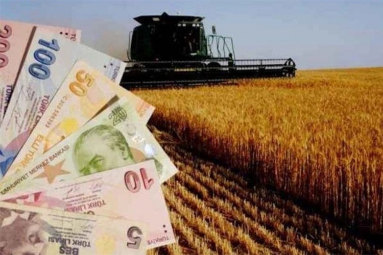 Tarım üretici fiyatları yüzde 2 arttı