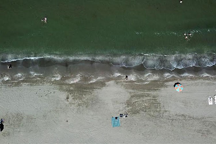 Yosunlardan gübre ve biyoplastik üretilecek