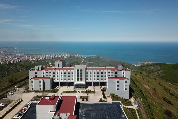 Akademisyen alınacak