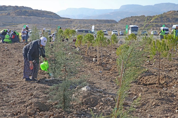 511 hektarlık eski maden sahası doğaya kazandırılıyor