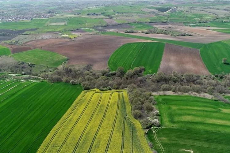 Tarlalarda bungalov ve bağ evlerine yasak