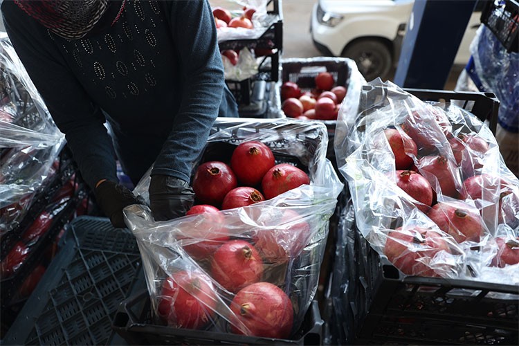 Türkiye'nin nar üretiminin yüzde 21'i Antalya'dan