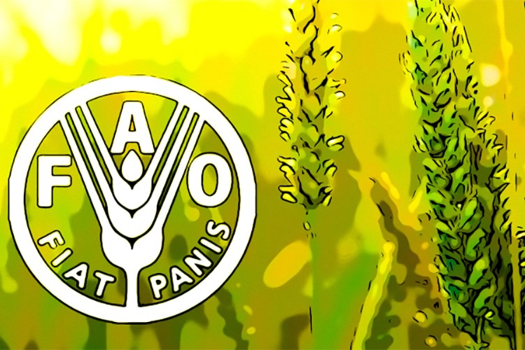 Küresel gıda fiyatlarında sınırlı düşüş