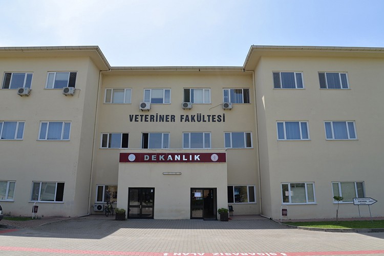 Hayvan yemi alınacak