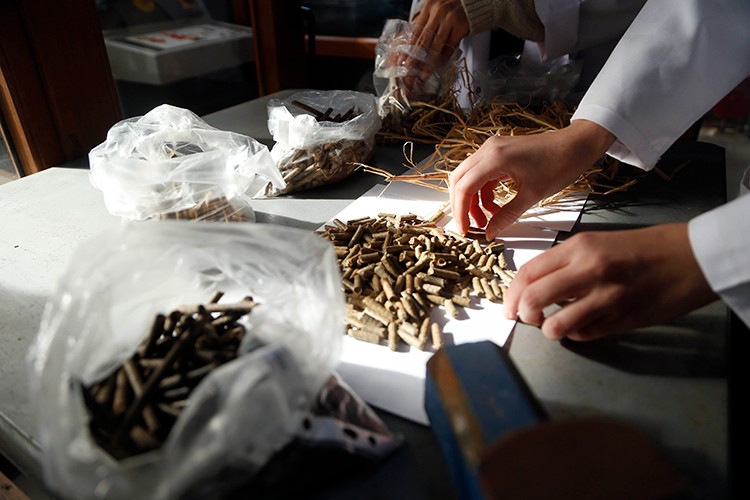 Elektrik enerjisine dönüştürülebilecek