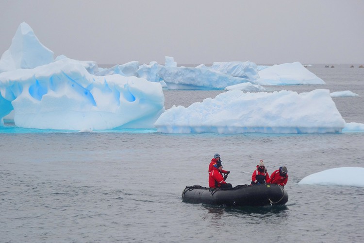 Antarktika çağrısı