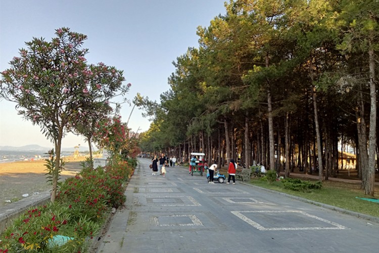 Miliç Plajı ziyaretçilerine yeşil ile maviyi bir arada sunuyor