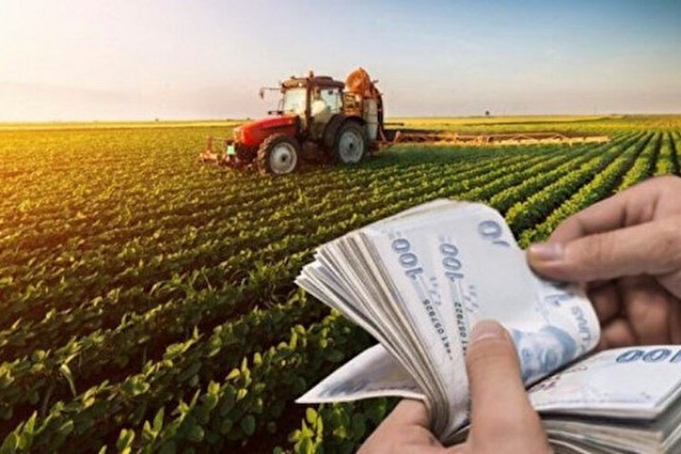 Tarımsal girdi fiyatları aylık yüzde 2,06 arttı