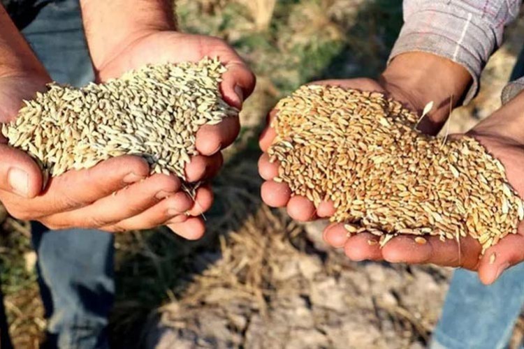 Odesa saldırısı sonrası buğday fiyatı fırladı