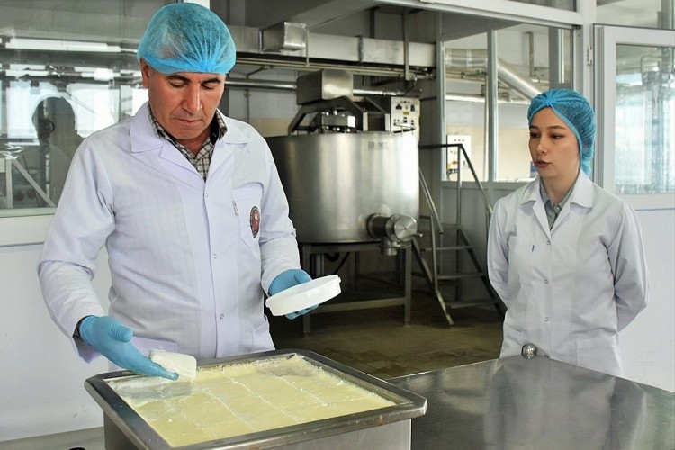 Afyon kaymağının üretimi artacak