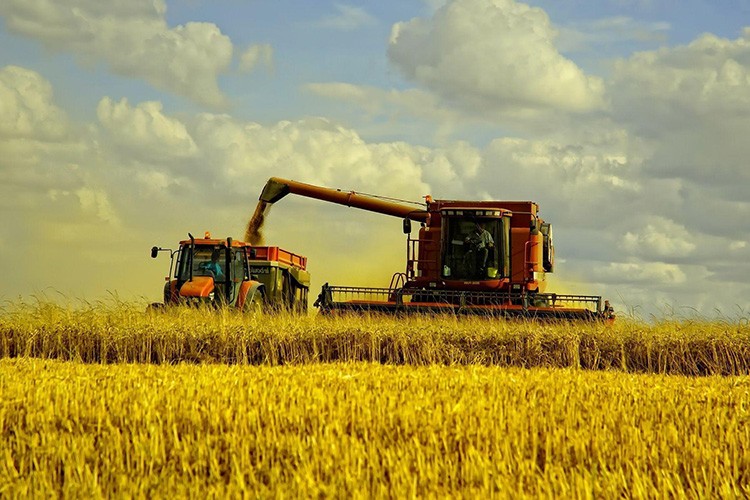 Kırsal kalkınmaya 6 milyar