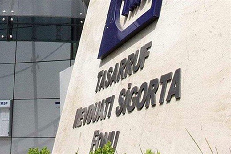 TMSF, Assan Group'u satışa çıkardı