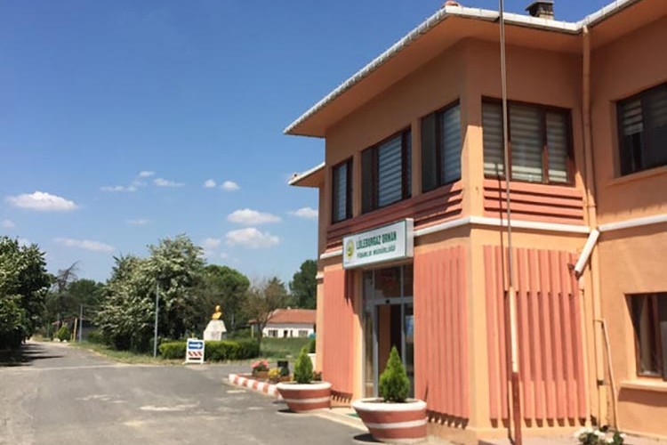 Elektrik şebekesi yapılacak