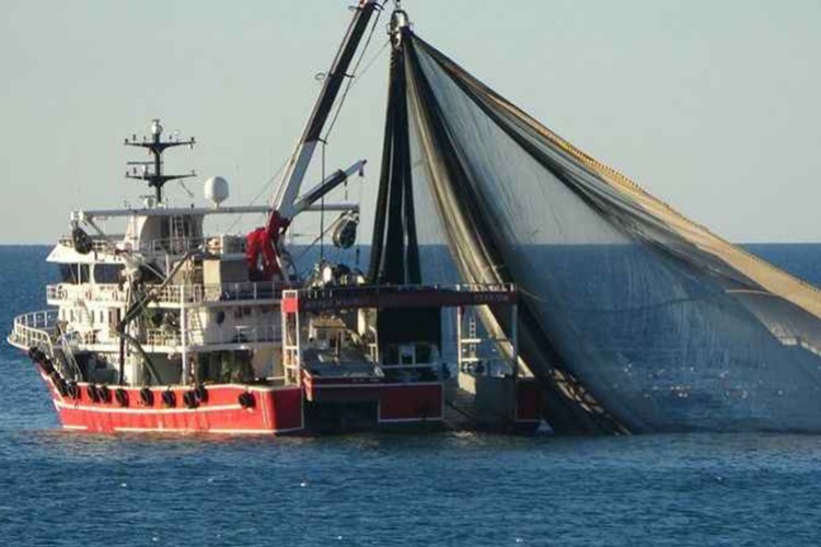 Balıkçılar ağlarını atmak için geri sayıma başladı