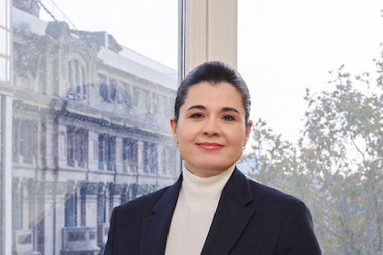 Yenilenebilir enerjide rekor yıl