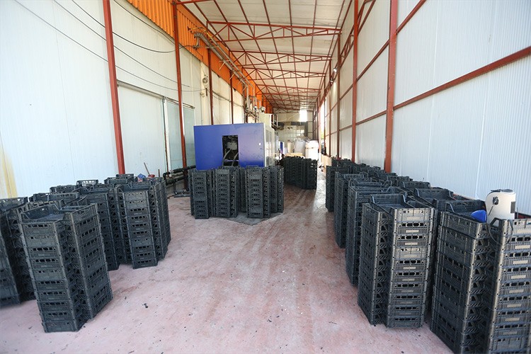 Armut üreticileri meyve kasasını da kendileri yapıyor