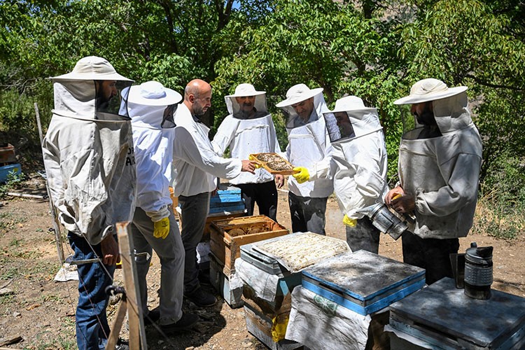 Karakovan bal üreticileri hasada yüksek verimle başladı