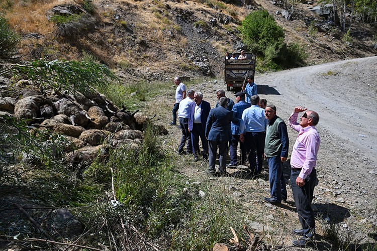 Van'da kayalık alandan düşen 334 küçükbaş hayvan telef oldu