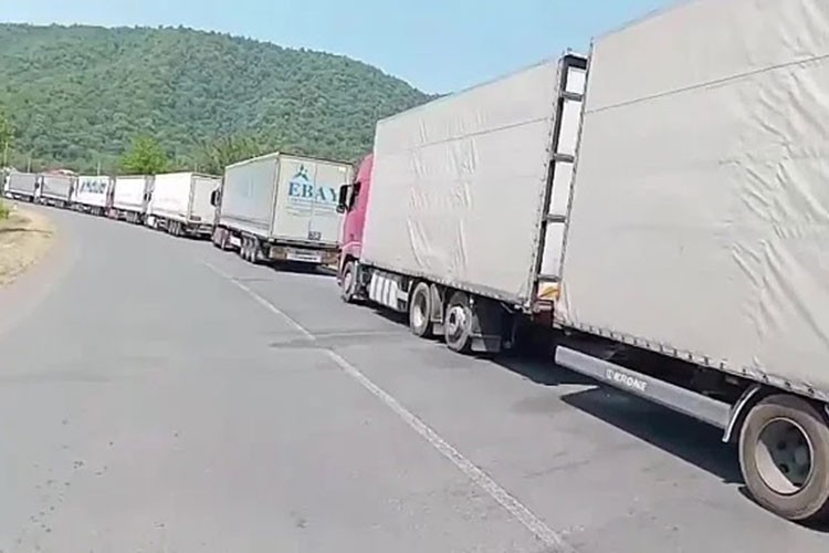 Lojistik firmaları Gürcistan sınırında zorlanıyor