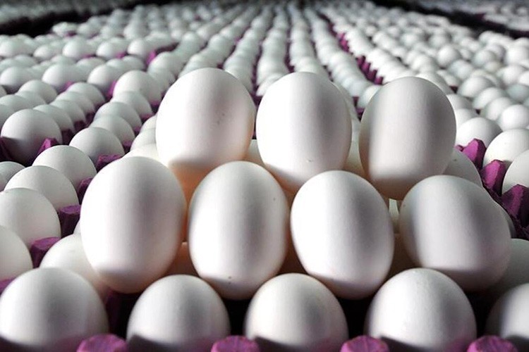 Karantina etkisiyle tüketim arttı