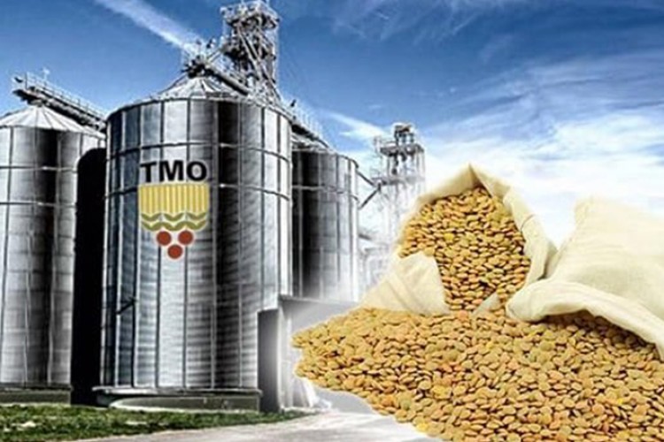 TMO'nun aldığı hububat miktarı 8,7 milyon tona ulaştı