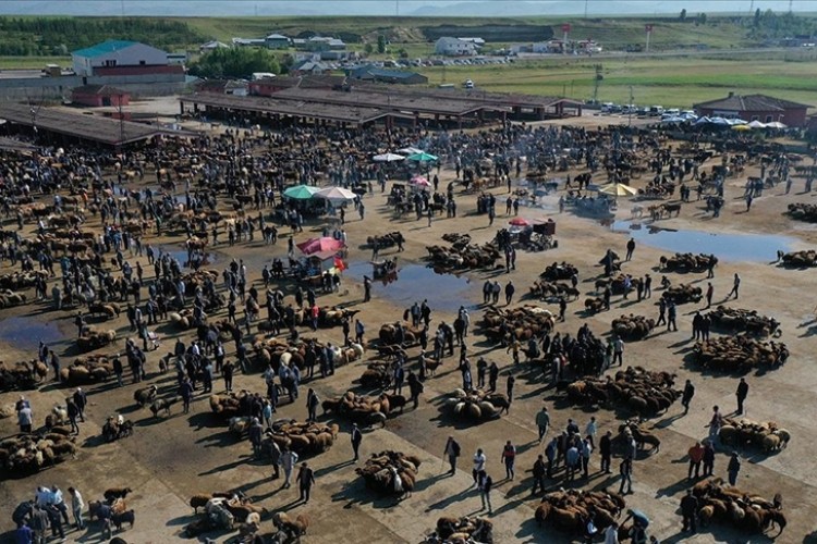 Ağrı Hayvan Borsası'nda Kurban Bayramı yoğunluğu yaşanıyor