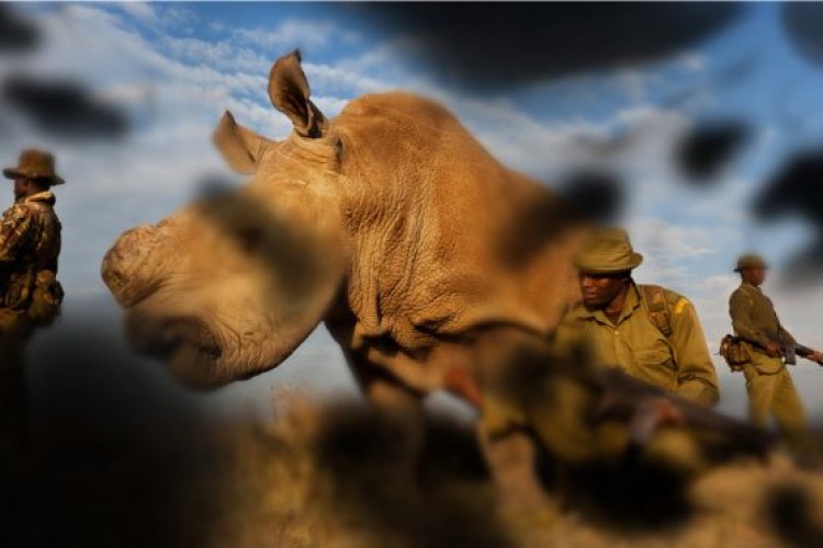 Canon, Drupa 2024 fuarında PSP'ler için kabartmalı baskı olanaklarını canlı uygulamalarla sergileyecek