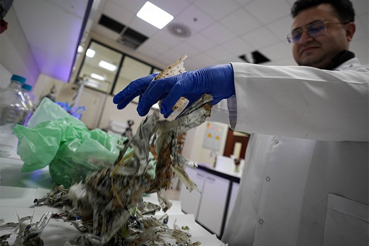 OSB atıklarında 35 ham madde tespit edildi