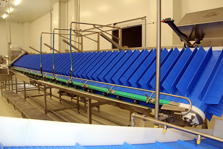 Sinop'ta balık işleme ve paketleme tesisi kuruldu