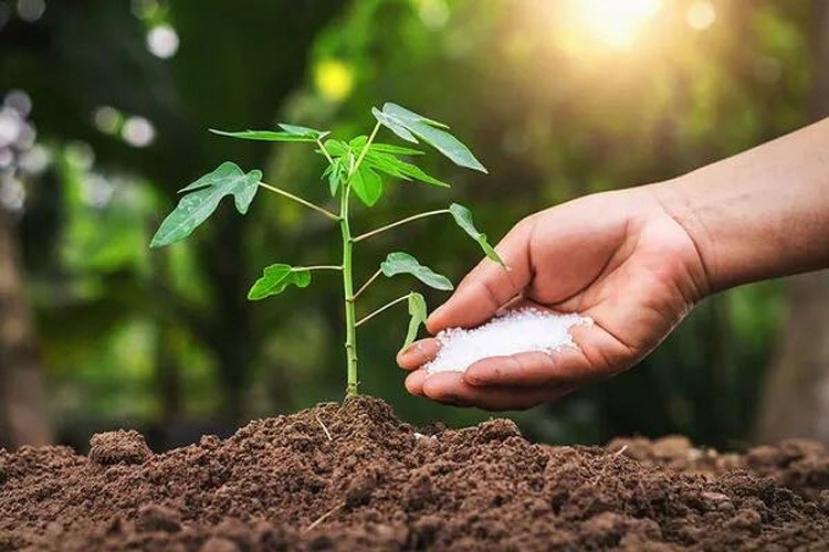 Tarım sektörüne 30 milyon euro destek