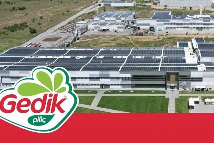 50 bin kızılçam ve karaçam tohumunu toprakla buluşturuyor