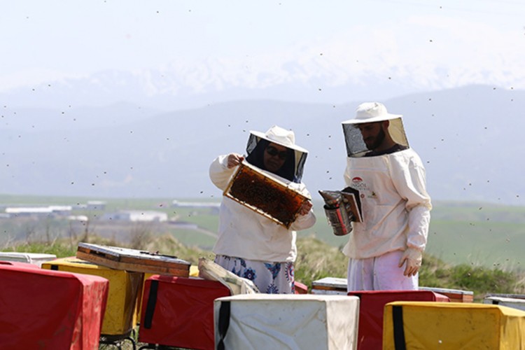 Olumlu hava koşulları Bingöllü arıcıları yüksek verim için umutlandırdı