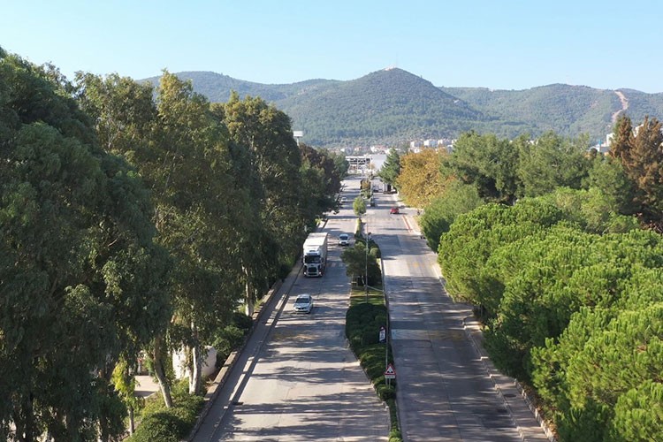 ESBAŞ, çevreci yatırımlarla 2025 yılında 8 bin ağaç kurtardı