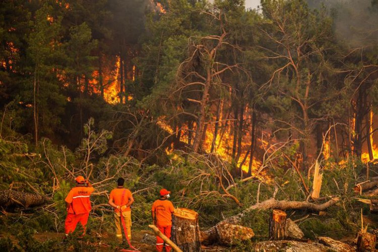 Milas ve Köyceğiz'de yangınlar sürüyor