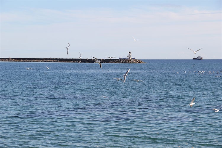 Tekirdağ'da deniz ulaşımı normale döndü