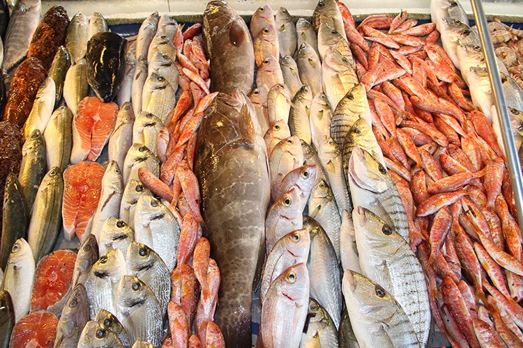 Egeli balıkçıların 11 aylık ihracatı 1 milyar doları aştı